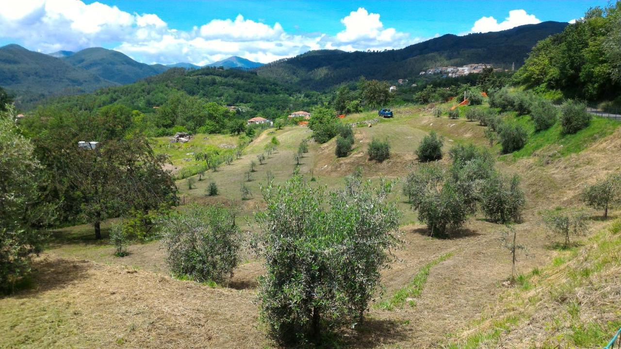 Agriturismo Tenuta Valletti. Sesta Godano Екстер'єр фото